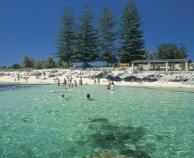 Rottnest Island WA Mackay Tourism