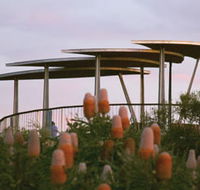 Reabold Hill Summit Boardwalk Bold Park - Mackay Tourism