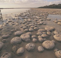 Lake Clifton Thrombolites - Mackay Tourism