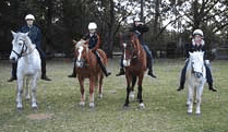 Valhalla Horse Riding - Mackay Tourism 1