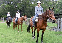 Valhalla Horse Riding - Mackay Tourism 2
