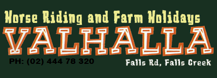 Valhalla Horse Riding - Mackay Tourism 4