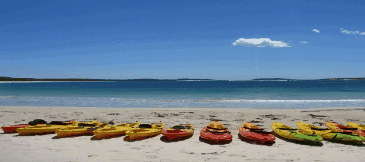 Jervis Bay Kayak & Paddlesports - Mackay Tourism 5