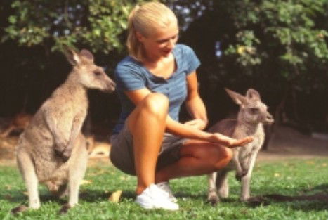 Jungle Tours And Trekking - Mackay Tourism 1
