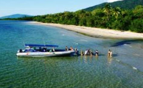 Cape Tribulation QLD Mackay Tourism