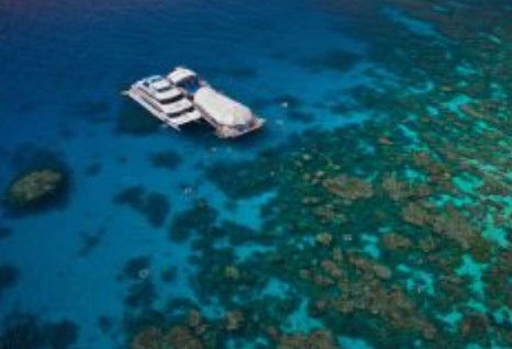 Great Adventures Reef And Green Island Cruises - Mackay Tourism 0