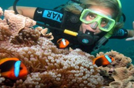 Ocean Spirit Cruises - Mackay Tourism 1