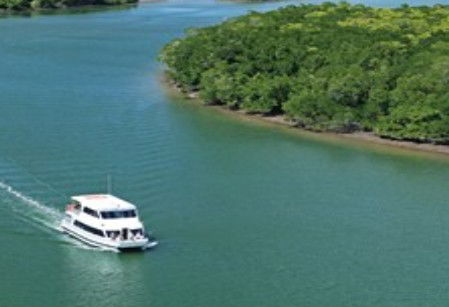 Cairns Harbour Cruises - Mackay Tourism 3