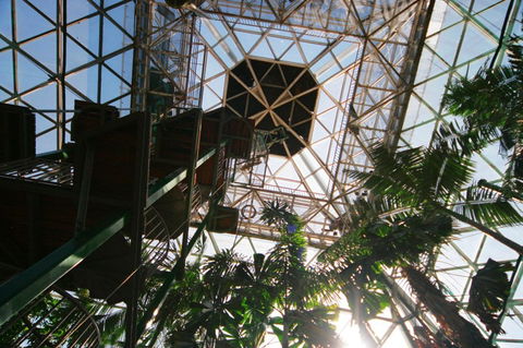 Cairns ZOOm And Wildlife Dome - Mackay Tourism 1
