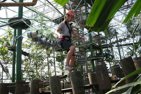 Cairns ZOOm And Wildlife Dome - Mackay Tourism 2