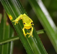 Daintree River Cruise Centre - Mackay Tourism