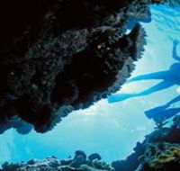 Deep Sea Divers Den - Mackay Tourism
