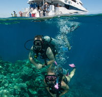 Down Under Cruise and Dive - Mackay Tourism