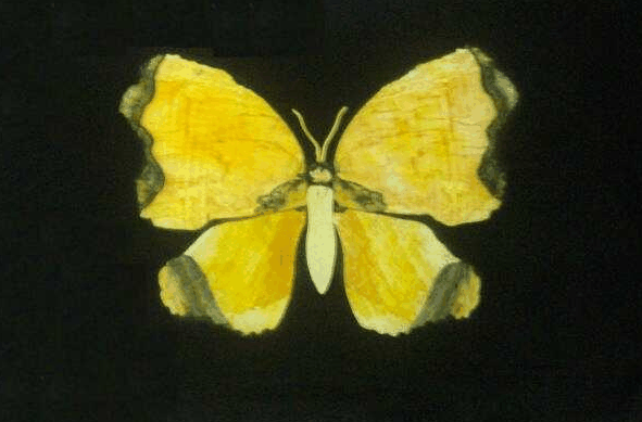 Rangemore QLD Mackay Tourism