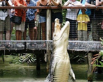 Wangetti QLD Mackay Tourism