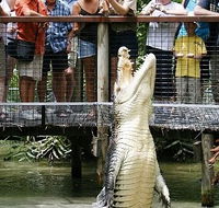 Hartley's Crocodile Adventures - Mackay Tourism
