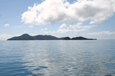 Whitehaven Xpress Whitehaven Beach Tours - Mackay Tourism 2