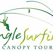 Jungle Surfing Canopy Tours and Jungle Adventures Nightwalks - Mackay Tourism