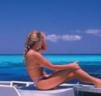 Mike Ball Dive Expeditions - Mackay Tourism
