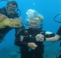 Yardarm Pty Ltd t/a Passions of Paradise - Mackay Tourism