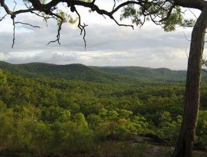 Cooktown Aboriginal Art Tours - Mackay Tourism 1