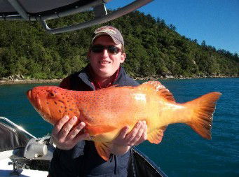 Gone Fishing By Coral Sea Fishing Charters Airlie Beach - Mackay Tourism 0