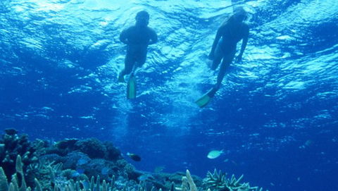 Air Whitsunday Day Tours - Mackay Tourism 1