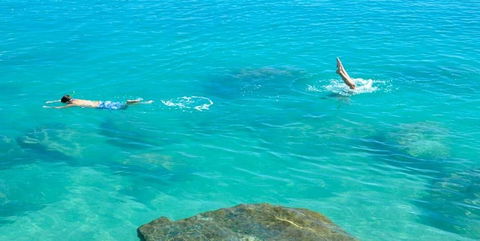 Salty Dog Sea Kayaking - Mackay Tourism 1