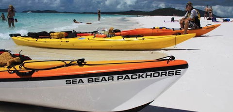 Salty Dog Sea Kayaking - Mackay Tourism 8