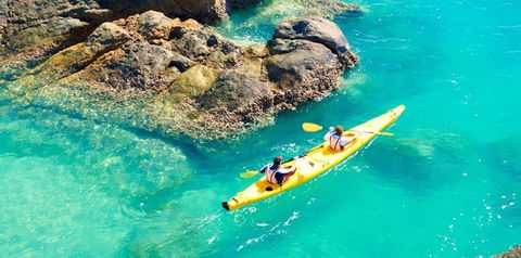 Salty Dog Sea Kayaking - Mackay Tourism 9