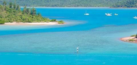 Salty Dog Sea Kayaking - Mackay Tourism 10