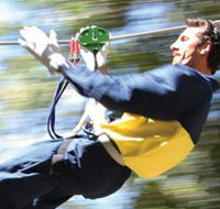 Adventure Parc - Mackay Tourism