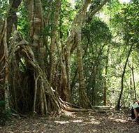 The Airlie Creek Track - Mackay Tourism