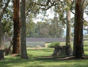 Undercliffe QLD Mackay Tourism