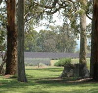 Aloomba Lavender - Mackay Tourism
