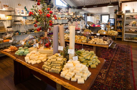 Vasse Virgin - Mackay Tourism 3