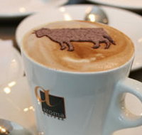 Brown Cow - Mackay Tourism