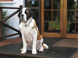 Mount Tamborine QLD Mackay Tourism