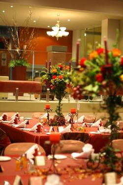 Forest Inn Hotel - Mackay Tourism 0