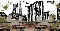 The Order - Mackay Tourism 1