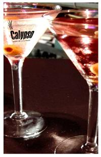 Calypso Bar And Lounge - Mackay Tourism 1