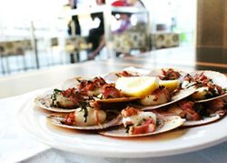 Salt Bar And Restaurant - Mackay Tourism 1