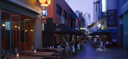 Golden Monkey - Mackay Tourism 2