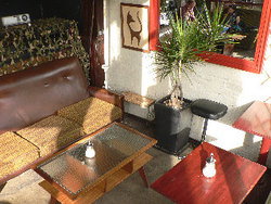 Blackcat - Mackay Tourism 2