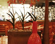 Cherry Hill Tavern - Mackay Tourism 2