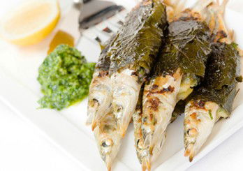 Gusto Riverfront Restaurant - Mackay Tourism 3