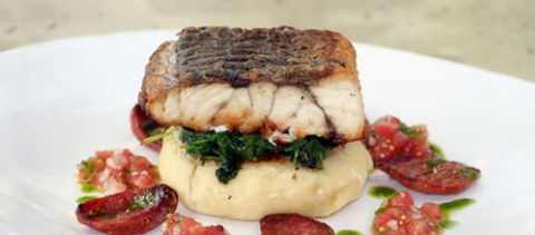 Morgans Seafood Restaurant - Mackay Tourism 4