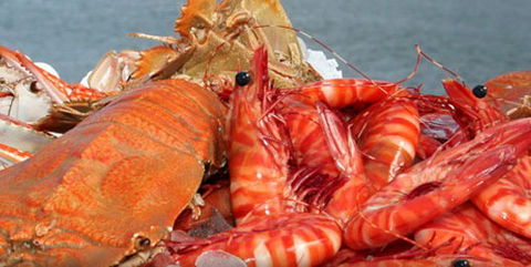 Morgans Seafood Restaurant - Mackay Tourism 5