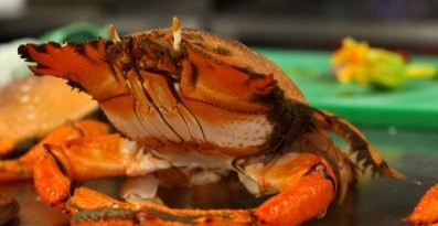 River Cottage Restaurant - Mackay Tourism 0