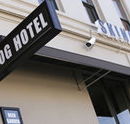 Skinny Dog Hotel - Mackay Tourism
